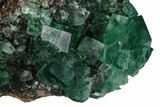 Fluorite Crystal Cluster - Rogerley Mine #143049-1
